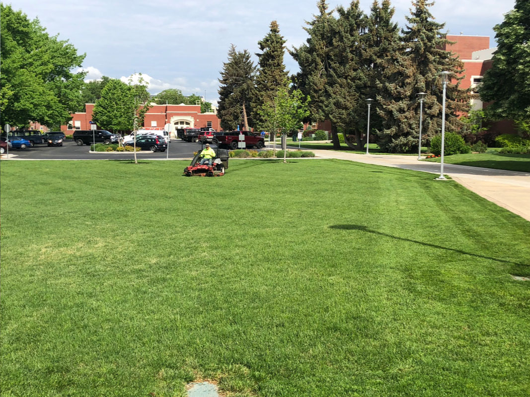 Grounds Maintenance in Boise, Meridian, Nampa