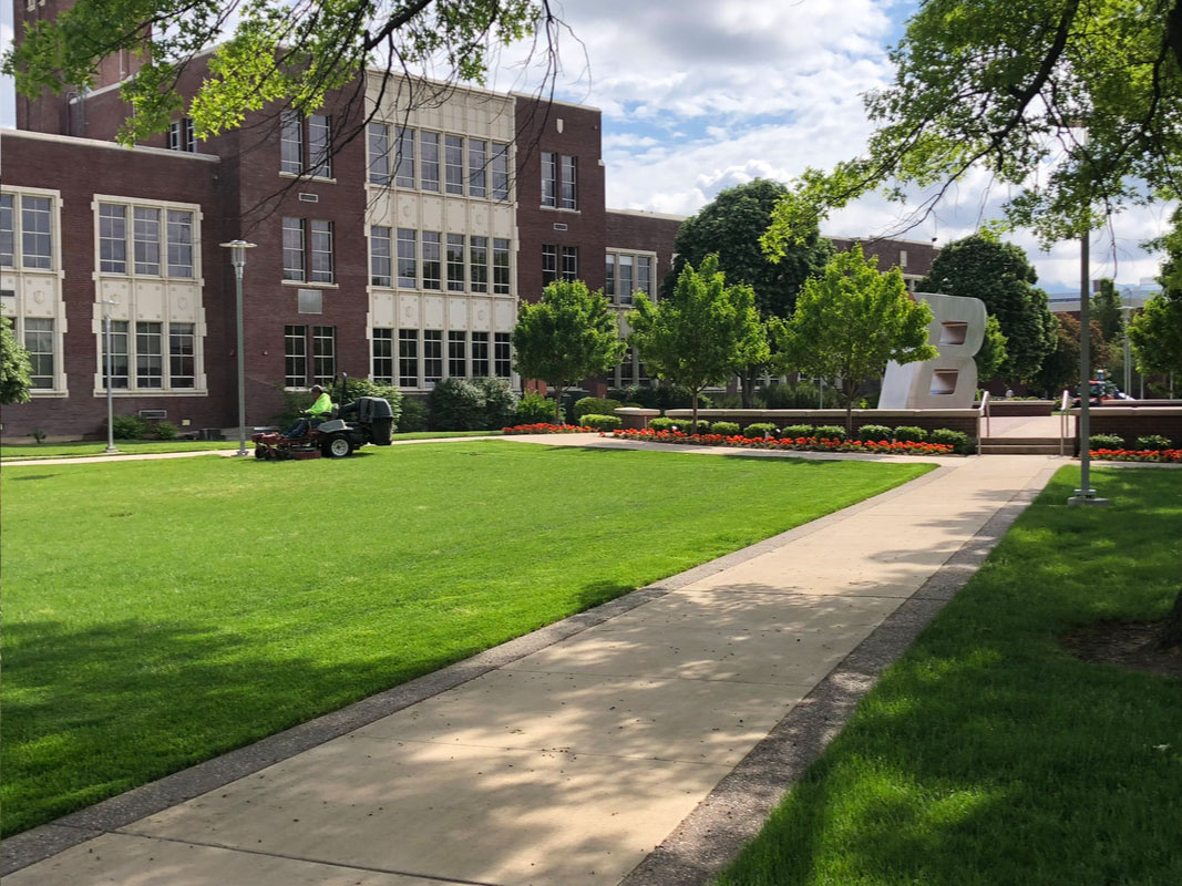 Grounds Maintenance in Boise, Meridian, Nampa